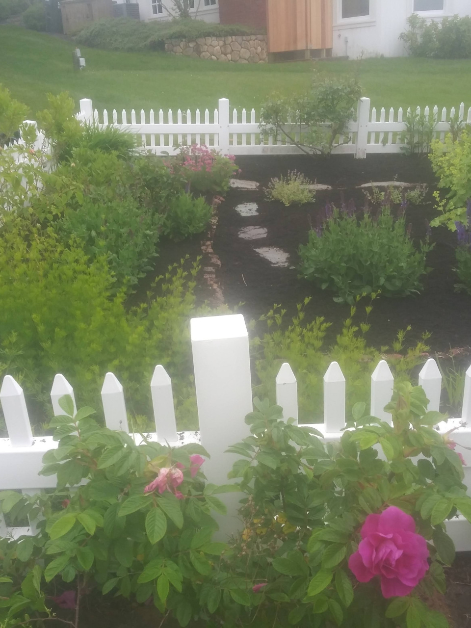 White fence with roses growing on it and garden with rock paths