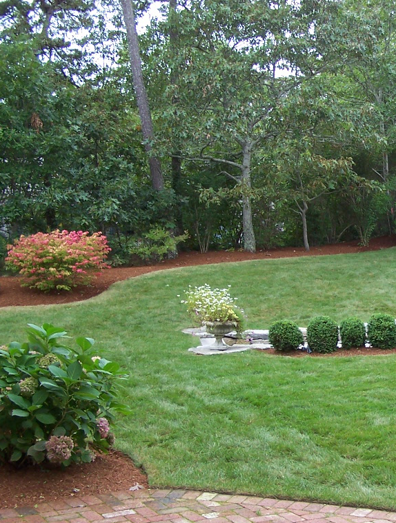 Yard with decorative and well groomed bushes